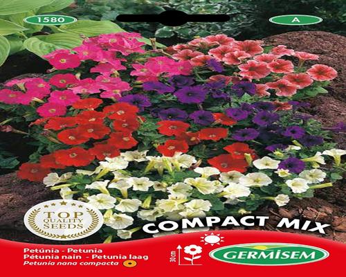 <notranslate>un Paquet De Graines De Pétunia Germisem Compact</notranslate>