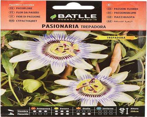<notranslate>en Batlle Climbing Passionflower</notranslate>