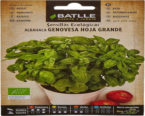 <notranslate>a Packet of Organic Basil Seeds</notranslate>