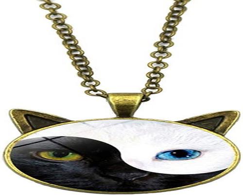 <notranslate>una collana Tai Chi Yin Yang Cat pendente in vetro con catena regalo</notranslate>