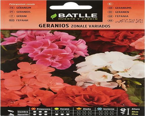 <notranslate>Zonale Batlle Geranium-bescherming</notranslate>